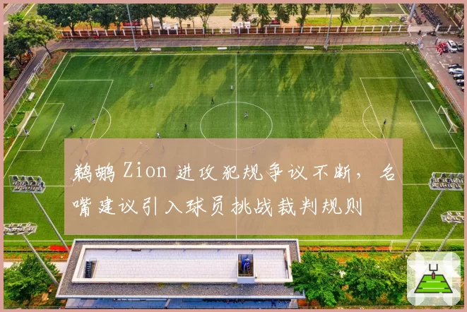 鹈鹕 Zion 进攻犯规争议不断，名嘴建议引入球员挑战裁判规则