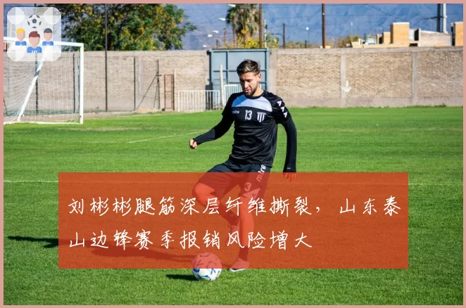 刘彬彬腿筋深层纤维撕裂，山东泰山边锋赛季报销风险增大