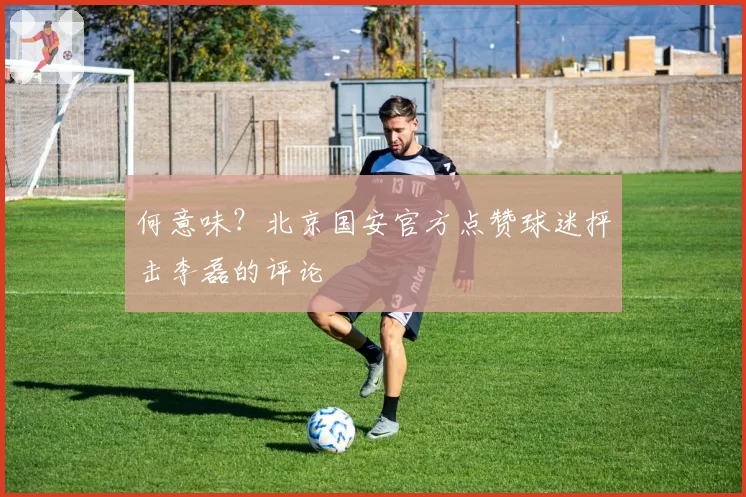 何意味？北京国安官方点赞球迷抨击李磊的评论