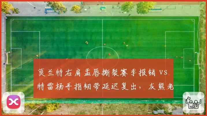 莫兰特右肩盂唇撕裂赛季报销 vs 特雷杨手指韧带延迟复出，灰熊老鹰重建对比