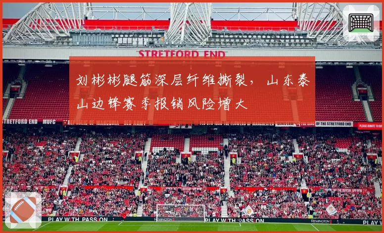 刘彬彬腿筋深层纤维撕裂，山东泰山边锋赛季报销风险增大